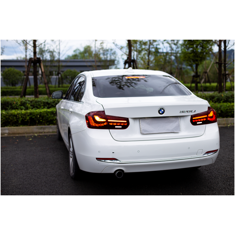 BMW 3 Series 2012-2018 Double Dragon Scales Tail Lights - ClutchBlaze