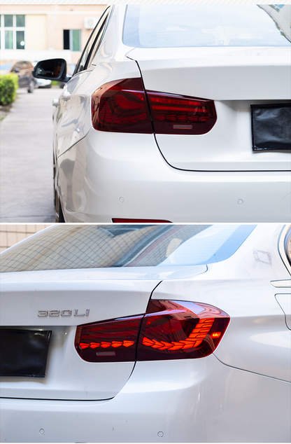 BMW 3 Series 2012-2018 Double Dragon Scales Tail Lights - ClutchBlaze