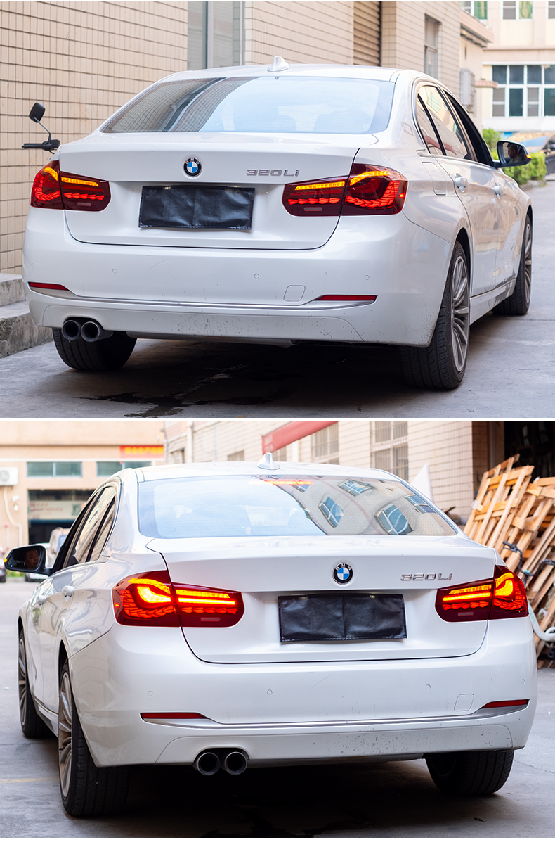 BMW 3 Series 2012-2018 Double Dragon Scales Tail Lights - ClutchBlaze