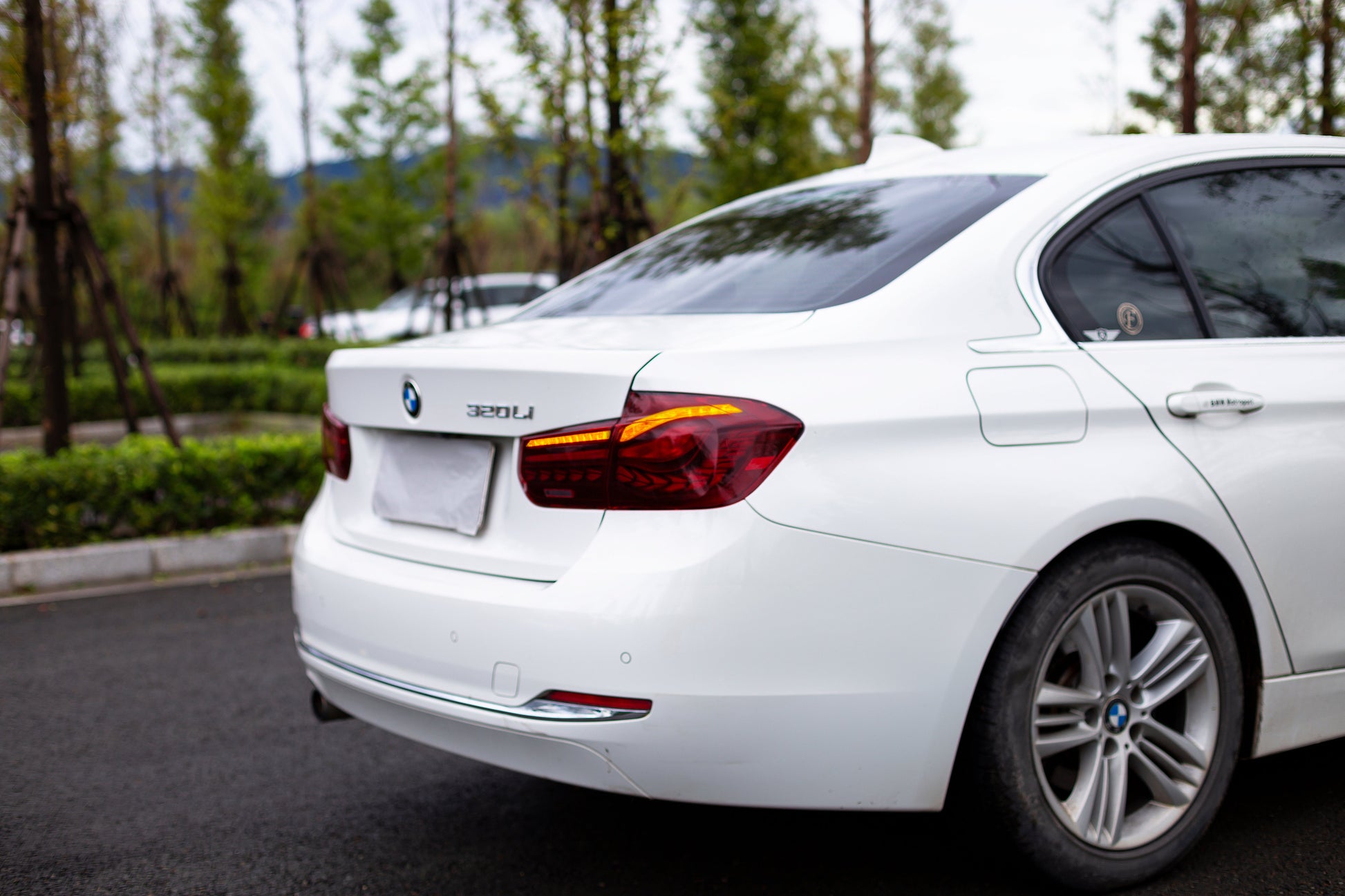BMW 3 Series 2012-2018 Double Dragon Scales Tail Lights - ClutchBlaze