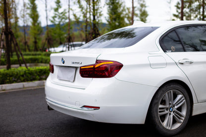 BMW 3 Series 2012-2018 Double Dragon Scales Tail Lights - ClutchBlaze