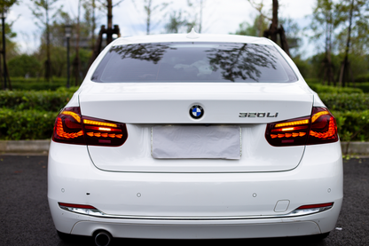 BMW 3 Series 2012-2018 Double Dragon Scales Tail Lights - ClutchBlaze